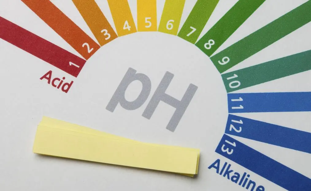 How to Test Vaginal pH Levels at Home Gynin