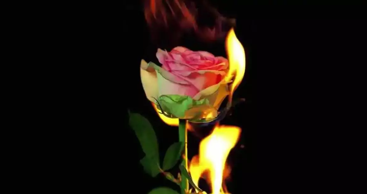 What Causes Burning Sensation During Sex After Period Gynin what-causes-burning-sensation-during-sex-after-period-gynin