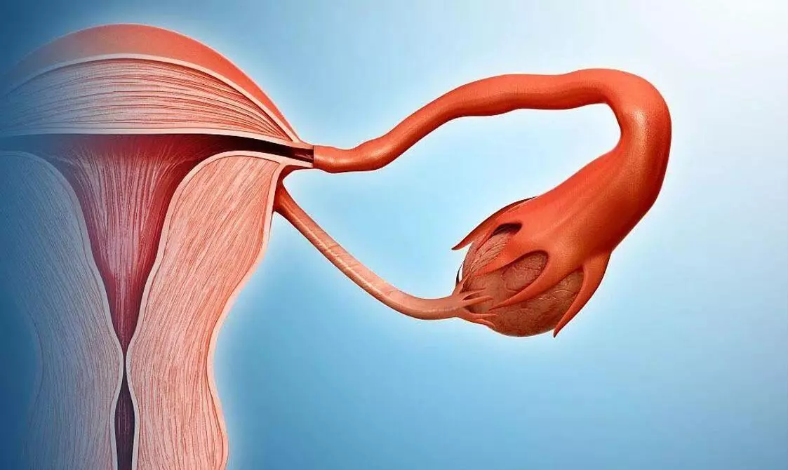 What Does Vaginal Dryness Feel Like? Gynin