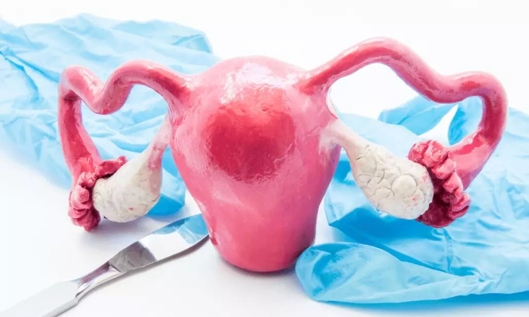 What Does Vaginal Dryness Feel Like? Gynin