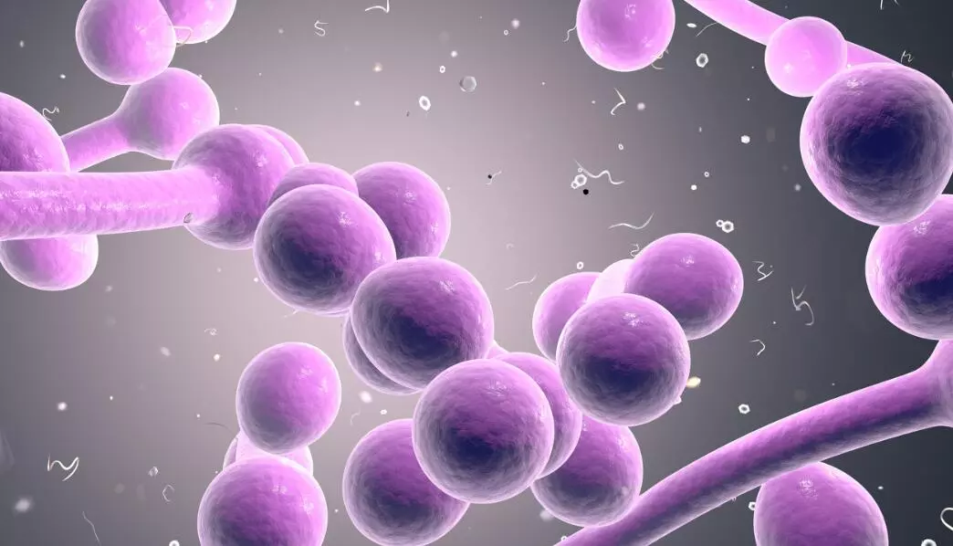 What is The Most Common Cause of Vaginitis? | Gynin